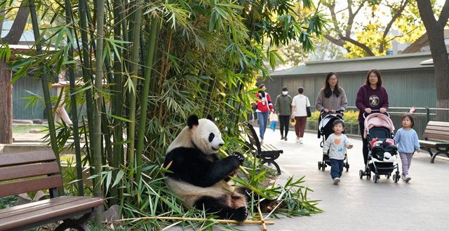 Beijing tourist attractions for families_Beijing tourist attractions for families_Beijing tourist attractions for families