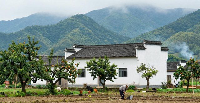 Rural homestay experience in China_Rural homestay experience in China_Rural homestay experience in China