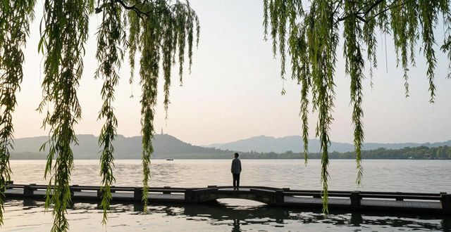 West Lake willows_West Lake willows_West Lake willows