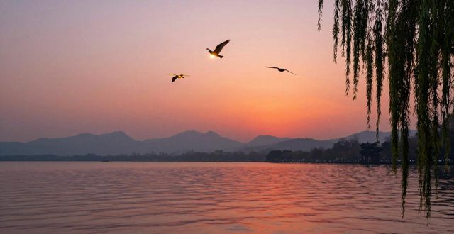 West Lake evening view_West Lake evening view_West Lake evening view