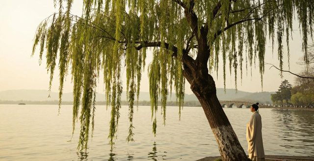 West Lake willows_West Lake willows_West Lake willows