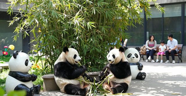 Family friendly Beijing attractions_Family friendly Beijing attractions_Family friendly Beijing attractions