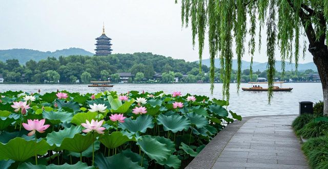 West Lake lotus flowers_West Lake lotus flowers_West Lake lotus flowers