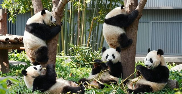Best places to visit in China_Best places to visit in China_Best places to visit in China
