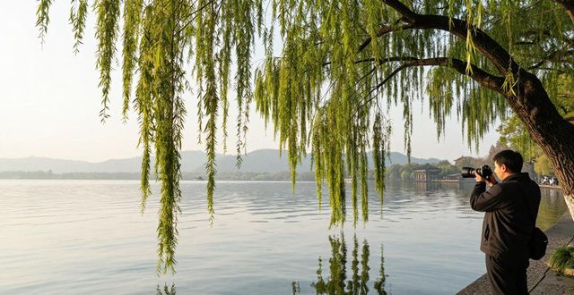 West Lake willows_West Lake willows_West Lake willows
