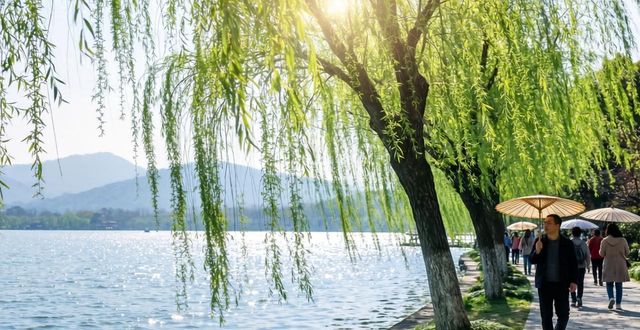 West Lake willows_West Lake willows_West Lake willows