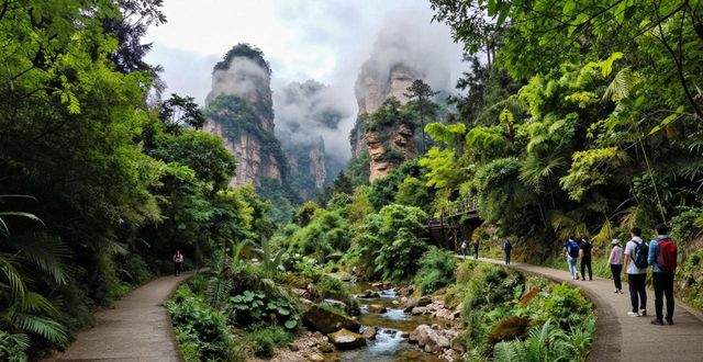 Zhangjiajie National Forest_Zhangjiajie National Forest_Zhangjiajie National Forest