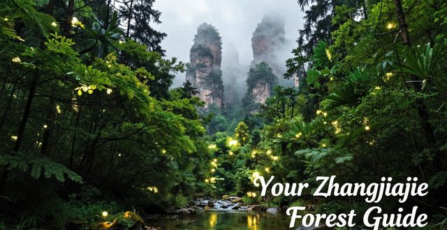 Zhangjiajie National Forest_Zhangjiajie National Forest_Zhangjiajie National Forest