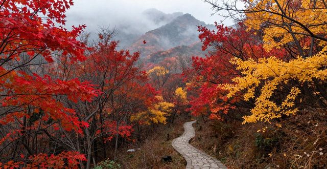 autumn foliage China hidden spots_autumn foliage China hidden spots_autumn foliage China hidden spots