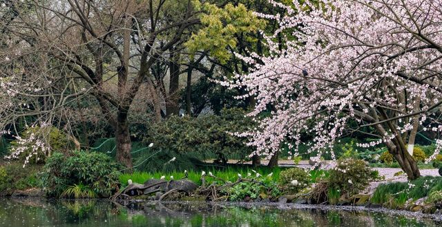 Hangzhou natural beauty_Hangzhou natural beauty_Hangzhou natural beauty