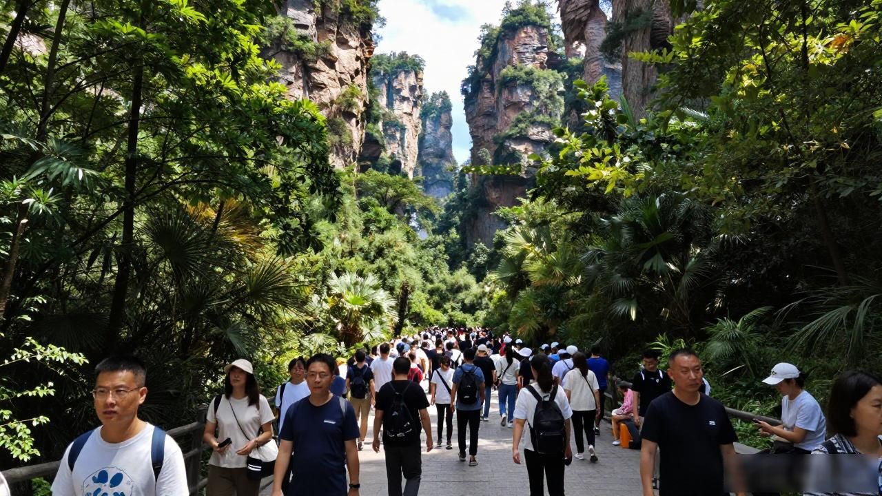 Zhangjiajie National Forest_Zhangjiajie National Forest_Zhangjiajie National Forest