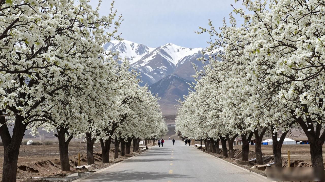spring blossoms China lesser known_spring blossoms China lesser known_spring blossoms China lesser known